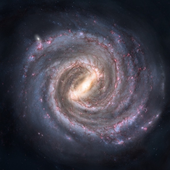 Meet your Posher, Rene - Picture 1 of 1